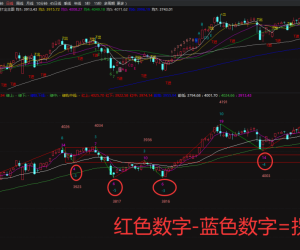 如何用AI选谷宝看大盘？